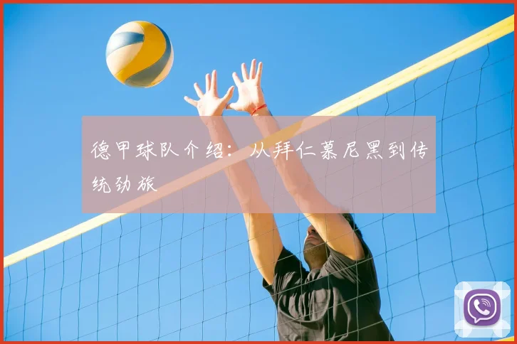 德甲球队介绍：从拜仁慕尼黑到传统劲旅