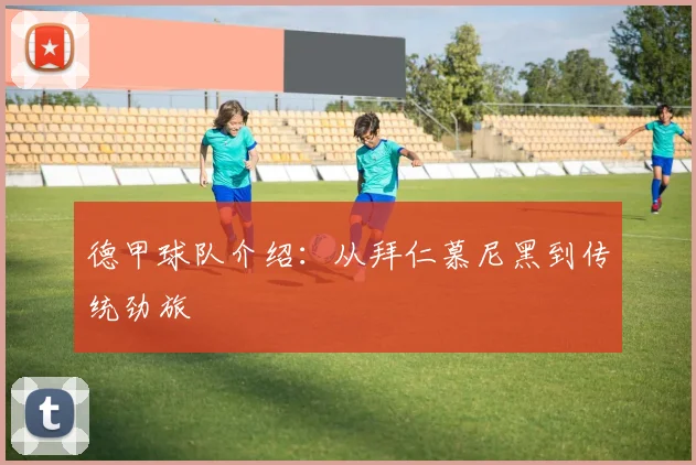 德甲球队介绍：从拜仁慕尼黑到传统劲旅